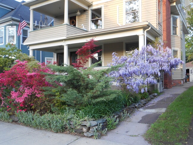 175 Alden Ave, Unit #3