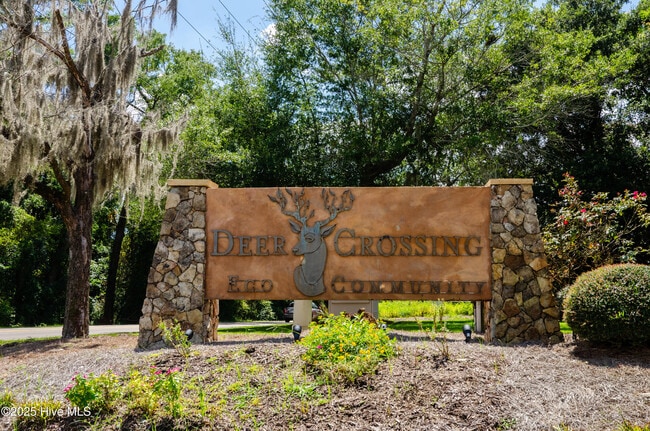 6516 Rustling Leaves Way in Wilmington, NC - Building Photo - Building Photo