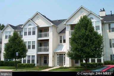 7528 Coxton Ct in Alexandria, VA - Building Photo