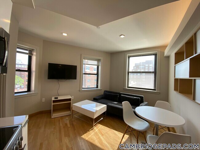 115 Mt Auburn St in Cambridge, MA - Building Photo - Building Photo