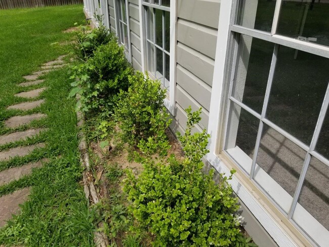 1305 St Lawrence River Rd in Montgomery, TX - Building Photo - Building Photo