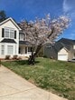 605 Spring Leaf Ct