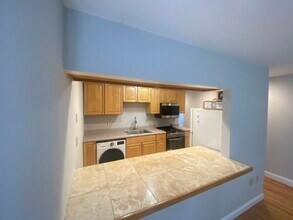 114 Magazine St, Unit 2 in Cambridge, MA - Foto de edificio - Building Photo