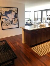 222 E Pearson St in Chicago, IL - Building Photo - Building Photo