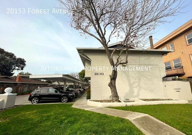 20153 Forest Ave in Castro Valley, CA - Building Photo - Building Photo