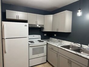 1324 N Geneva Dr, Unit 3B in Palatine, IL - Building Photo - Building Photo