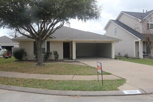19507 Winston Hill Dr in Cypress, TX - Building Photo