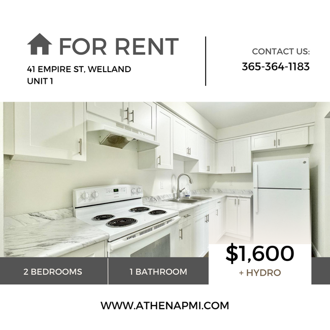 property at 41 Empire St