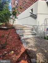 1125 Solly Ave in Philadelphia, PA - Building Photo