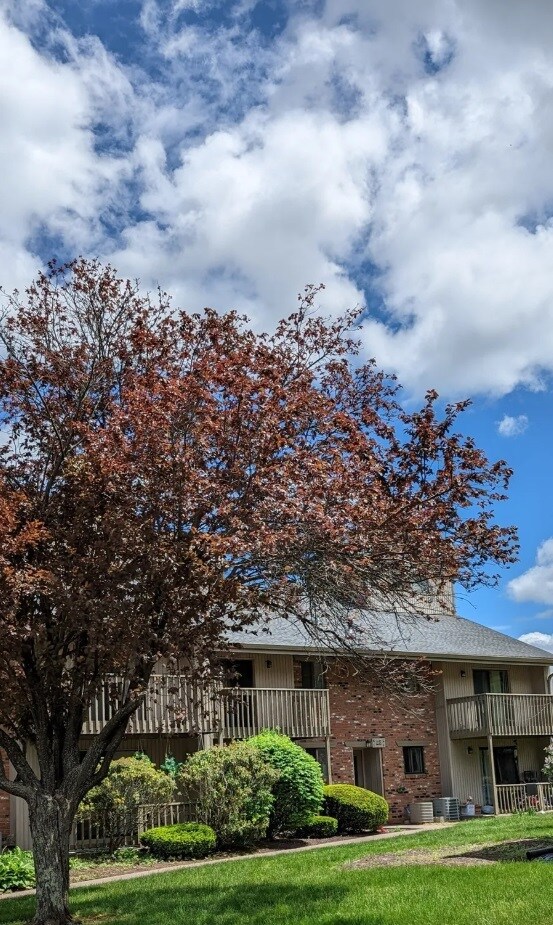 25 Amato Dr in South Windsor, CT - Building Photo - Building Photo
