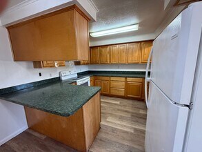 3004 F M Jones Dr in Lithia, FL - Building Photo - Building Photo