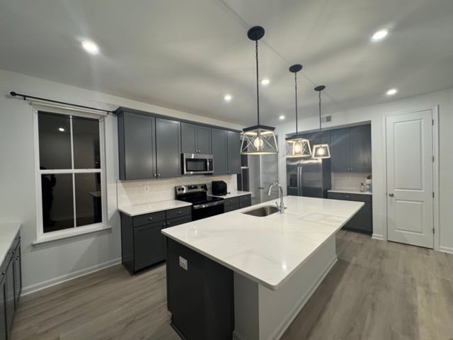 208 Douglas Way in Middletown, DE - Building Photo - Building Photo