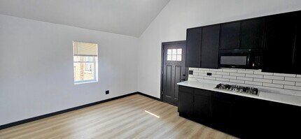 1833 W 21st St in Chicago, IL - Building Photo - Building Photo
