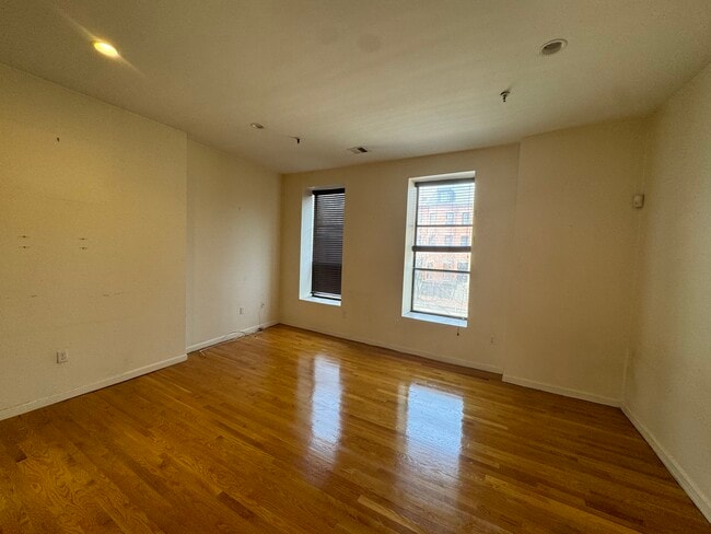 176 W Springfield St, Unit 1 in Boston, MA - Building Photo - Building Photo