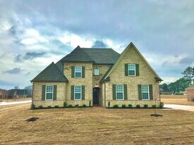 4067 Shinault Cove in Olive Branch, MS - Building Photo