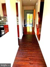 3269 Halcyon Ct in Ellicott City, MD - Building Photo - Building Photo