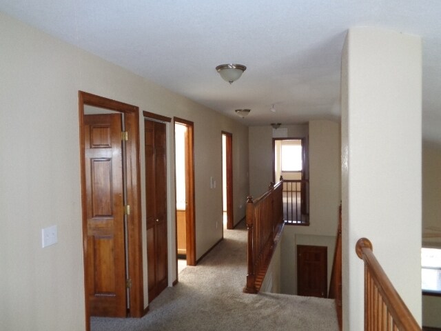 2325 Hyacinth Rd in Highlands Ranch, CO - Building Photo
