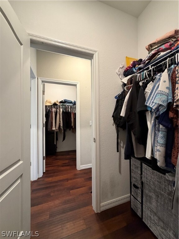 property at 4284 Raffia Palm Cir