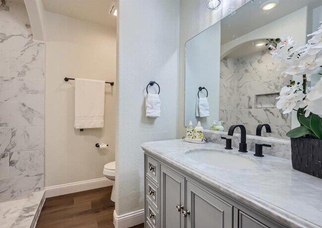 4704 Blue Meadow Dr in Austin, TX - Building Photo - Building Photo