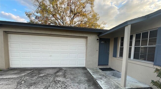 1008 York Ct in Brandon, FL - Building Photo - Building Photo