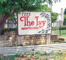 The Ivy Apartments