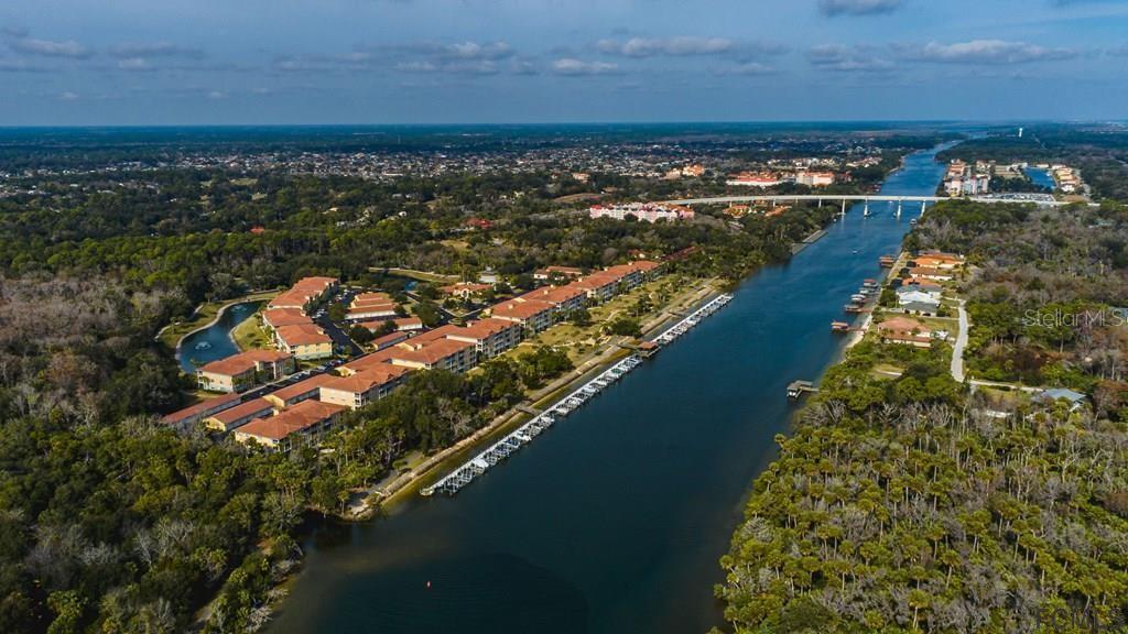 100 Canopy Walk Ln in Palm Coast, FL - Building Photo