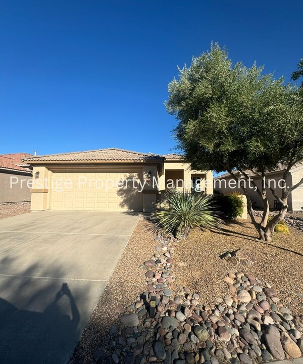 13462 N Holly Grape Dr in Marana, AZ - Building Photo