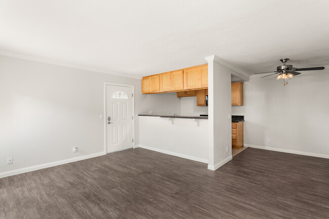 Park Plaza Apartments in Santa Ana, CA - Building Photo - Building Photo