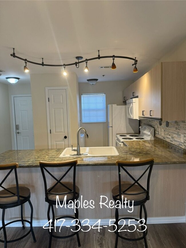 32 Golfshores Dr in Branson, MO - Building Photo - Building Photo