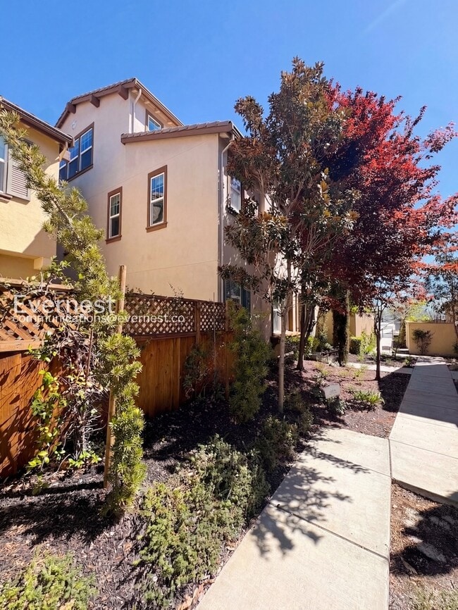 3206 Vittoria Loop in Dublin, CA - Building Photo - Building Photo