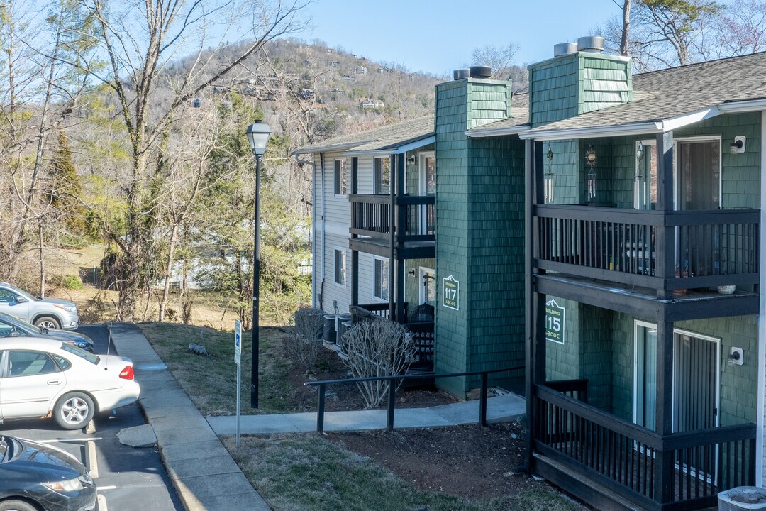 Ridge View Apartments in Asheville, NC - Building Photo