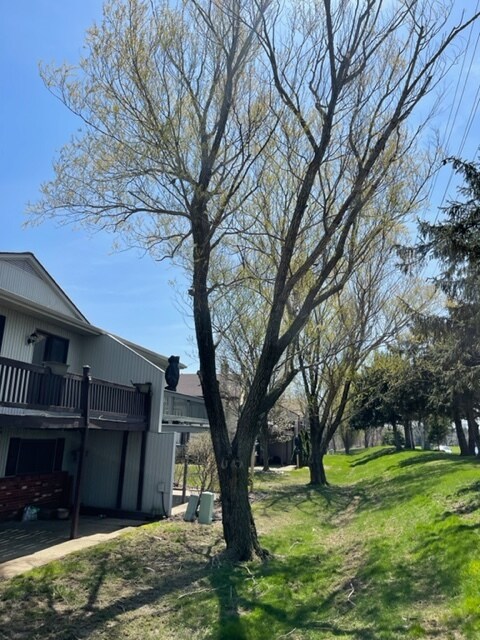 4015 Marks Rd, Unit 2D in Medina, OH - Building Photo - Building Photo