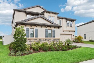 12829 Tortoise Shell Pl in Riverview, FL - Building Photo - Building Photo