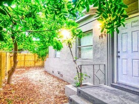 142 NE 56th St in Miami, FL - Building Photo