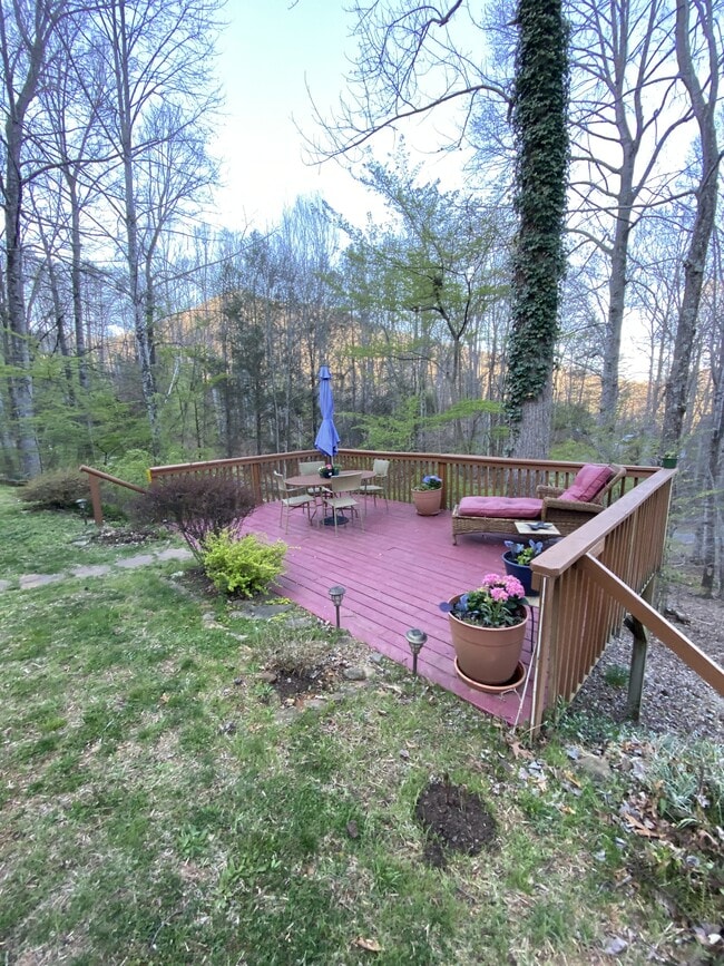 51 Buck Spgs Acrs in Candler, NC - Building Photo - Building Photo