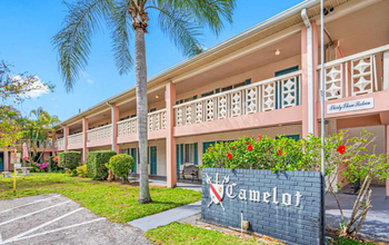 Camelot Apartments in St. Petersburg, FL - Building Photo - Primary Photo