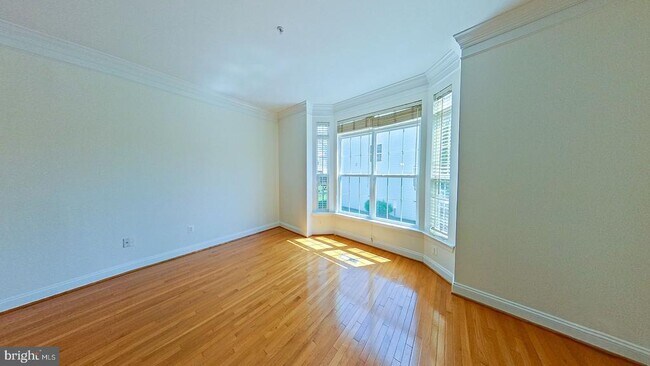 3905 Chelsea Park Ln in Burtonsville, MD - Building Photo - Building Photo