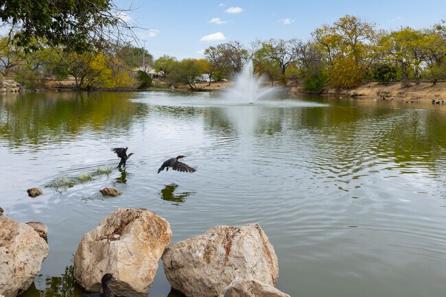 Apartments for rent in Bavarian Forest, TX