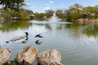 Apartamentos en Helotes, TX