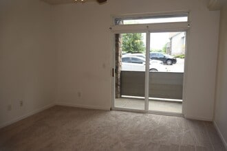 355 Buffalo Dr in Windsor, CO - Building Photo - Building Photo