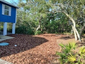 669 Bald Point Rd in Panacea, FL - Building Photo - Building Photo