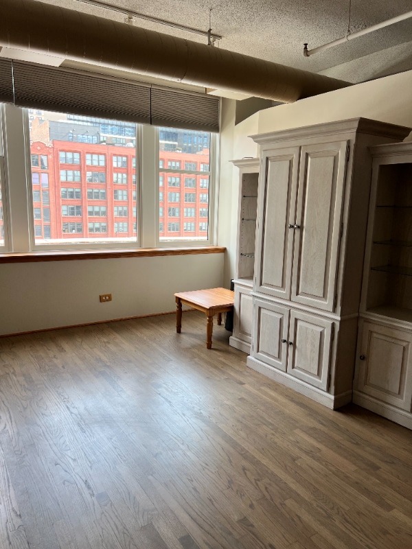 161 W Harrison St in Chicago, IL - Foto de edificio - Building Photo