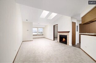 1345 E Wyndham Cir in Palatine, IL - Building Photo