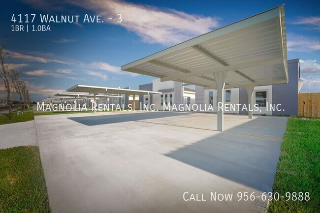 4117 Walnut Ave, Unit 3 in McAllen, TX - Building Photo - Building Photo
