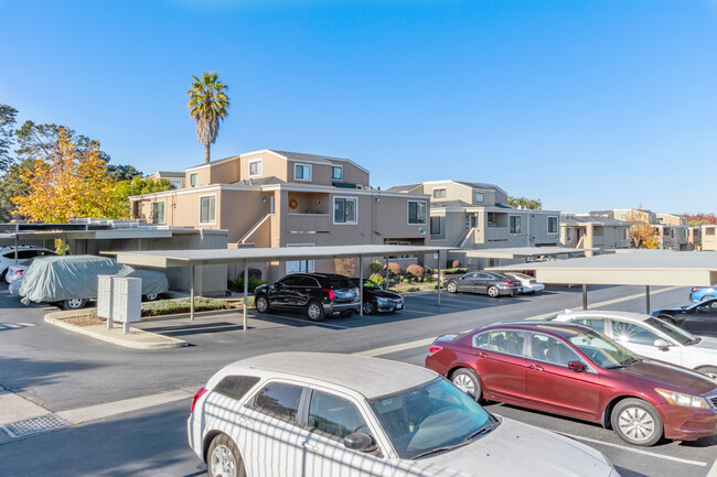 Cypress Park in Monterey, CA - Foto de edificio - Building Photo