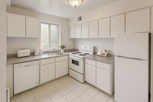 255 Stewart in Ottawa, ON - Building Photo