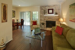 11028 Jollyville Rd, Unit 20731 in Austin, TX - Building Photo
