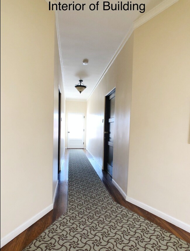 203 N Almont Dr in Beverly Hills, CA - Building Photo - Building Photo