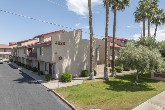 Orangewood Grove in Glendale, AZ - Foto de edificio - Building Photo