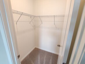 31567 Blue Passing Loop in Wesley Chapel, FL - Building Photo - Building Photo